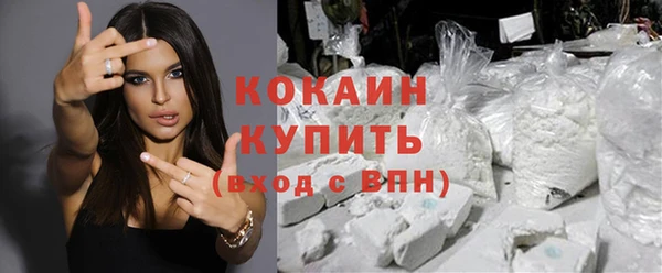 прущие крисы Горняк