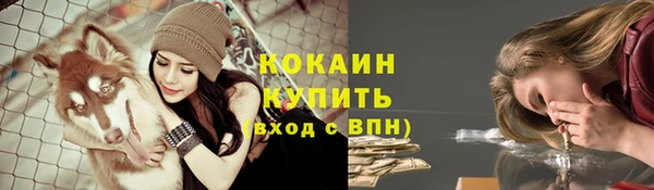 прущие крисы Горняк