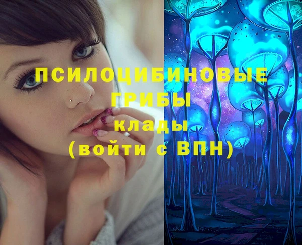 прущие крисы Горняк